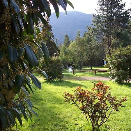 Cabanas Auquin Lemu Lago Puelo Buitenkant foto